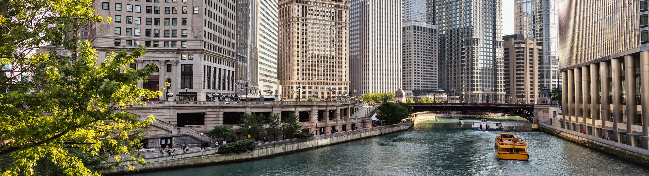 Chicago skyline and river